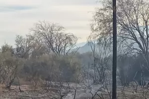 Incendio afect el servicio elctrico en Tinogasta