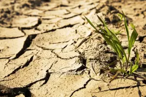 La sequa en Catamarca sigue afectando al sector agropecuario