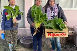 Realizaron una nueva cosecha en el Centro Teraputico Provincial de Catamarca