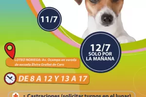 Zoonosis de la Capital esta semana en el Loteo Noriega y B Achachay