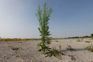 La UE da luz verde a una histrica ley sobre medio ambiente