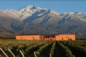 Una bodega argentina fue elegida como la mejor del mundo