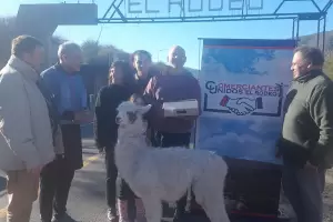 El Rodeo vive la temporada de invierno a pleno: Los Comerciantes Unidos dan la bienvenida a los turistas