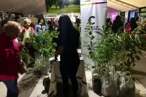 Ambiente entreg ms de 7.000 plantas autctonas