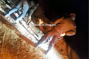 Pomn: recuperan un vacuno y aprehenden a dos adultos y un menor