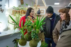Poncho Diseo, el pabelln para renovar la decoracin del hogar