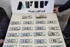 Intent ingresar al pas con US$30.000, pero una perra lo descubri: le incautaron el dinero