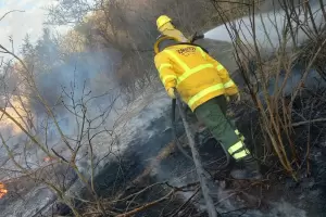 Se registraron 8 incendios forestales en los ltimos tres das