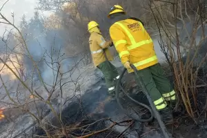 Incendios forestales: el 2023 lleva 173 siniestros pero baj la superficie afectada