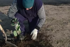 Ambiente forest calles de La Merced
