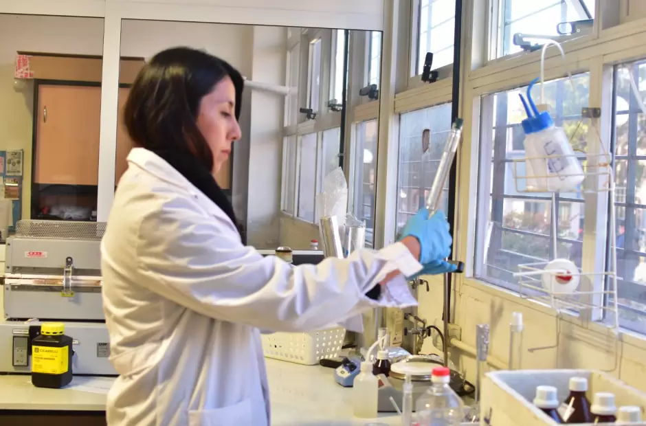 Dra. Flavia Lobo Maza