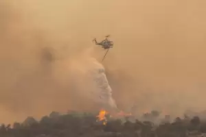 Ola de calor en el planeta e incendios: Se ha llegado a un punto de no retorno?