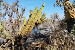 Temporada alta: dos incendios en Capital estn contenidos