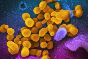 Covid: hay una nueva cepa dominante y sacan una vacuna ms eficaz para frenarla