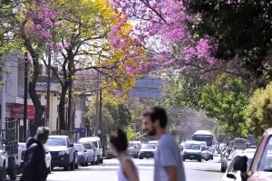 As estar el clima en Crdoba este jueves
