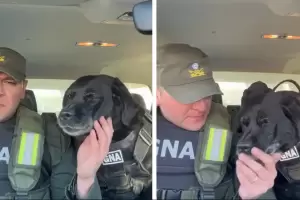 Pequi, la perra que se jubila de Gendarmera y la emocionante despedida en su ltimo da