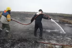 Incendio en la reserva de Punta Lara: Continan trabajando cuatro dotaciones de bomberos y ms de 30 brigadistas