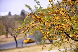Viernes caluroso en Crdoba