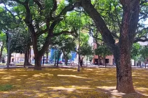 As estar el tiempo este viernes en Tucumn