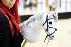 El deporte que es furor en Internet: "La Equitacin vegana