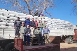 Catamarca diversifica exportaciones: Nueces y porotos rumbo a la India y Colombia