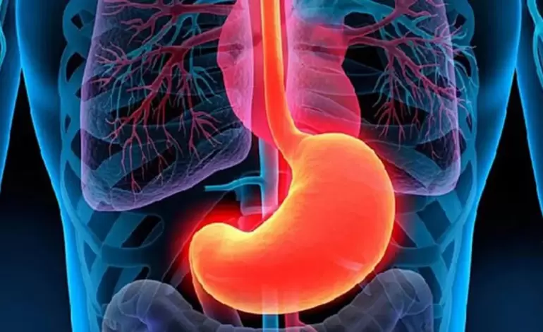 whatsapp image 2023-08-11 at 11.38.57 pm