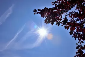 Domingo fresco pero con solcito: as va a estar el clima