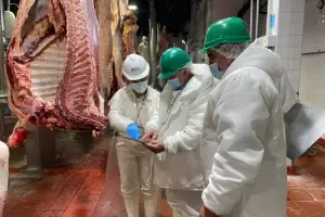 El Gobierno habilit el cupo arancelario para exportar carne vacuna a los Estados Unidos