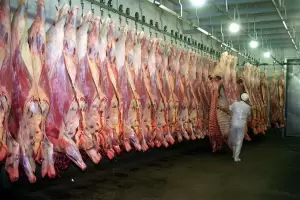 El Gobierno espera un acuerdo con los precios, dio marcha atrs con el cierre de las exportaciones de carne vacuna