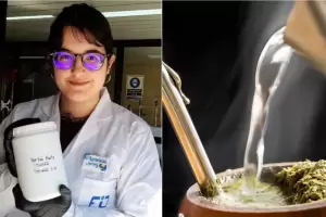 Cientfica argentina crea pilas a base de yerba mate usada
