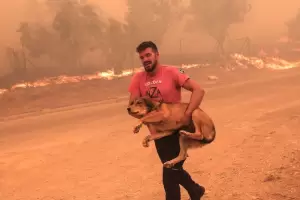 Hay 20 muertos y evacan un pueblo cerca de Atenas en medio de los incendios en Grecia