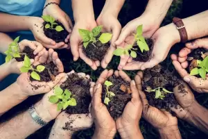 Iniciativas sostenibles en accin: Proyecto catamarqueo fue seleccionado a nivel nacional