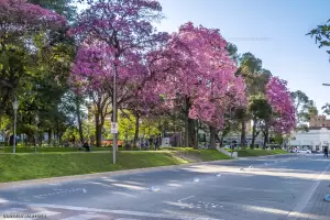 El invierno ya fue: "Hace 27 aos que no se daba esta temperatura rcord de 40.6"