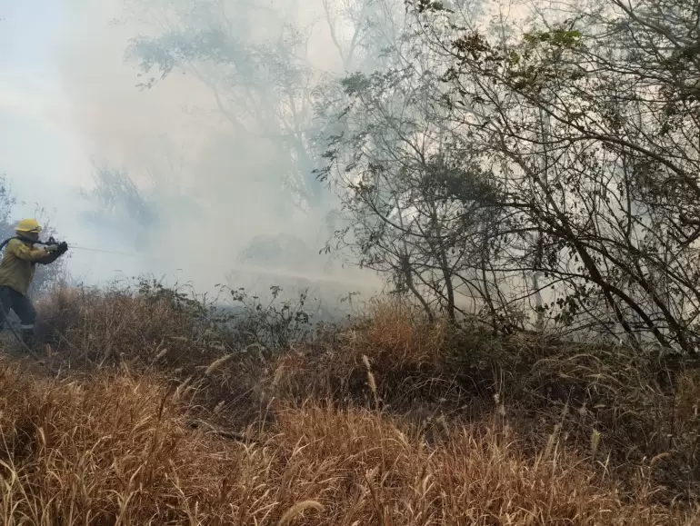 Incendio forestal en Valle Viejo