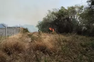 Combaten incendio forestal en Valle Viejo: Los bomberos trabajan en el lugar