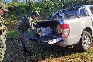 Intent huir de un control vial porque llevaba con 389 kilos de marihuana