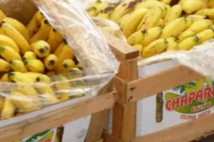 Robaron cuatro cajones de bananas, los detuvieron, y luego escaparon de la comisara