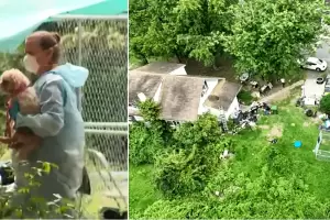 Rescataron a un nio que viva con 30 perros muertos en su casa y 70 enterrados en el patio