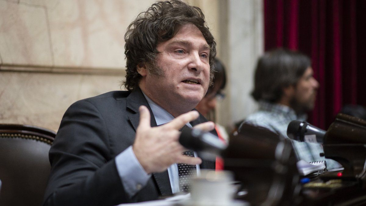 Milei presentó una medida cautelar contra el Gobierno - La Unión Digital