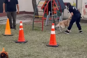 La Divisin Canes de la Polica llev alegra y diversin a la Casa Cuna