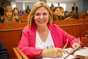 Mercado: "Este es el anticipo de la sociedad que Milei quiere construir"