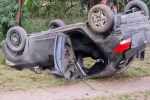 Seguidilla de siniestros viales producidos por animales sueltos durante el fin de semana