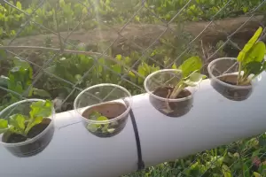 Importante proyecto bio-fbrica de la Escuela Secundaria Rural N3 de Ancasti