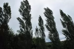 Calor y viento zonda: consulta cmo estar el tiempo este domingo