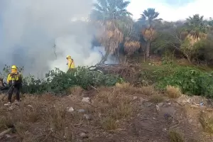 En La Carrera, bomberos voluntarios y brigadistas combaten incendio de magnitud
