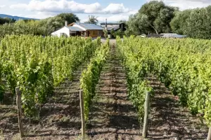 El Gobierno oficializ la eliminacin de las retenciones para las economas regionales