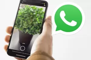 WhatsApp lanz una nueva funcin que permite enviar fotos y videos en alta definicin