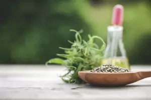 Aprobaron la inclusin de las semillas de cannabis en el cdigo alimentario