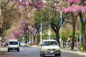 As estar el clima este jueves en Tucumn