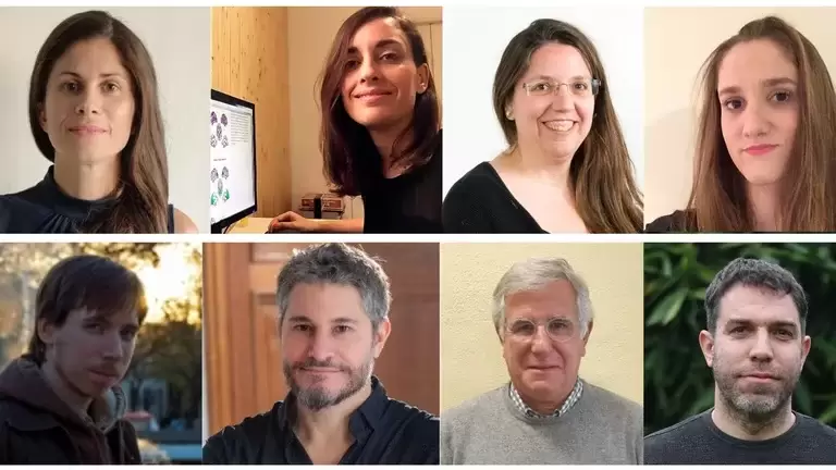 El equipo de científicos que ganó el IgNobel en Comunicación: María José Torres-Prioris, Diana López-Barroso, Estela Càmara, Sol Fittipaldi, Lucas Sed